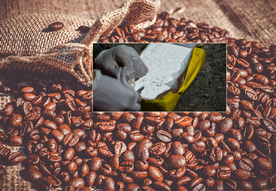 IHCAFE: exportaciones de café no están en riesgo porque se comprobó que la droga no se cargó en Honduras