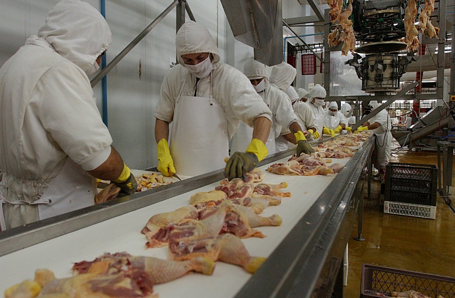 Cuatro empresas hondureñas preparadas para exportar carne de pollo hacia Estados Unidos