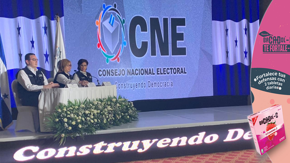 CNE: Falta de estructura y organización de los partidos, ha jugado en contra de los procesos electorales
