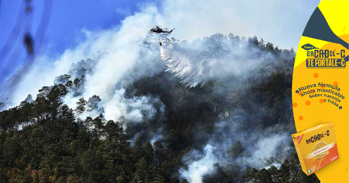 En un 70% se reducen las áreas afectadas por incendios forestales este año, destaca el ICF