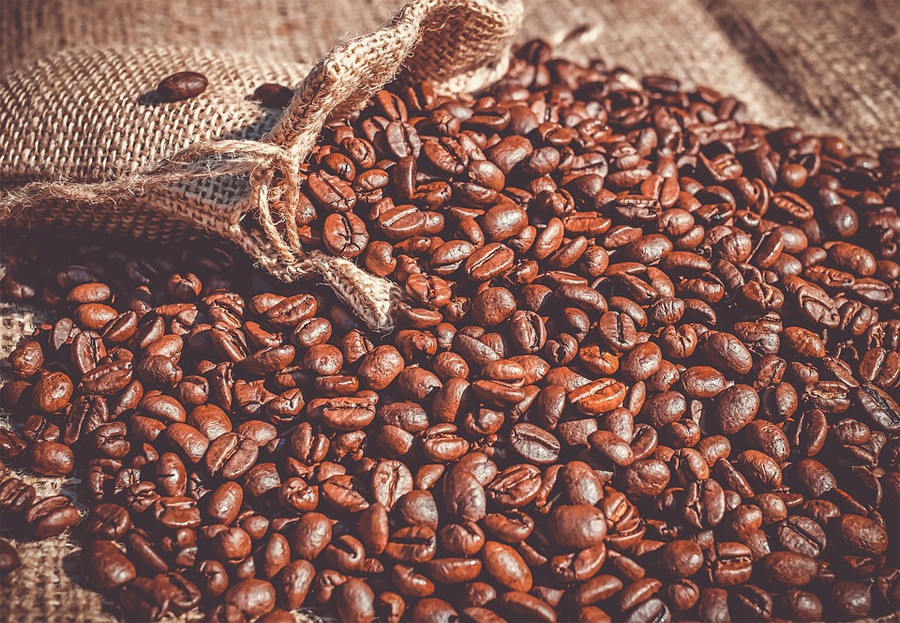 En 15 dólares podría aumentar el precio del quintal de café