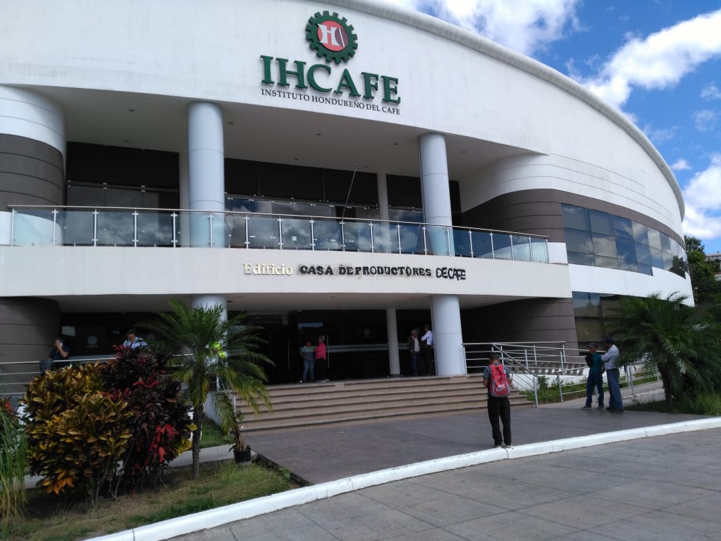 Cooperativas Cafetaleras recomiendan al Gobierno inyectarle capital al IHCAFE para apoyar a productores