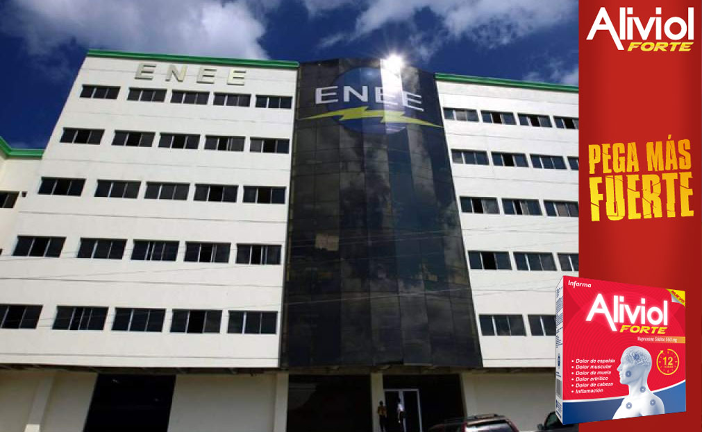 La ENEE acumula pérdidas de 400 millones de dólares anuales, señala el director de la AHPEE