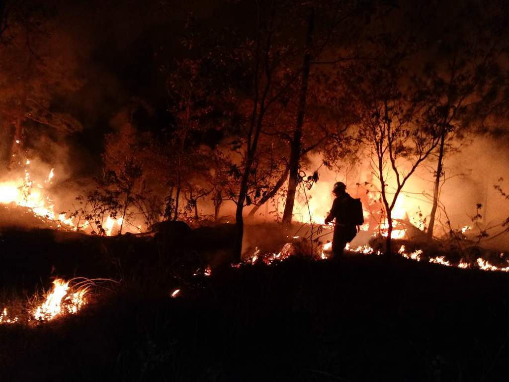 El 95% de los incendios forestales en el país, son provocados por manos criminales, denuncia ingeniero forestal