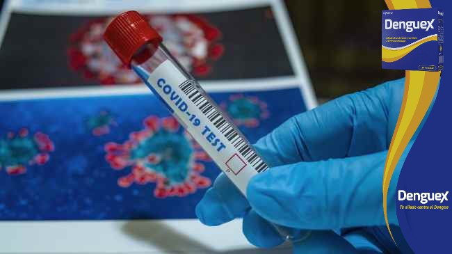 Economista exige se deduzcan responsabilidades a responsables de dañar las 250 mil pruebas PCR