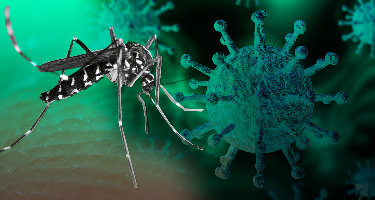 Se siguen reportando casos de dengue y COVID-19 en un solo paciente