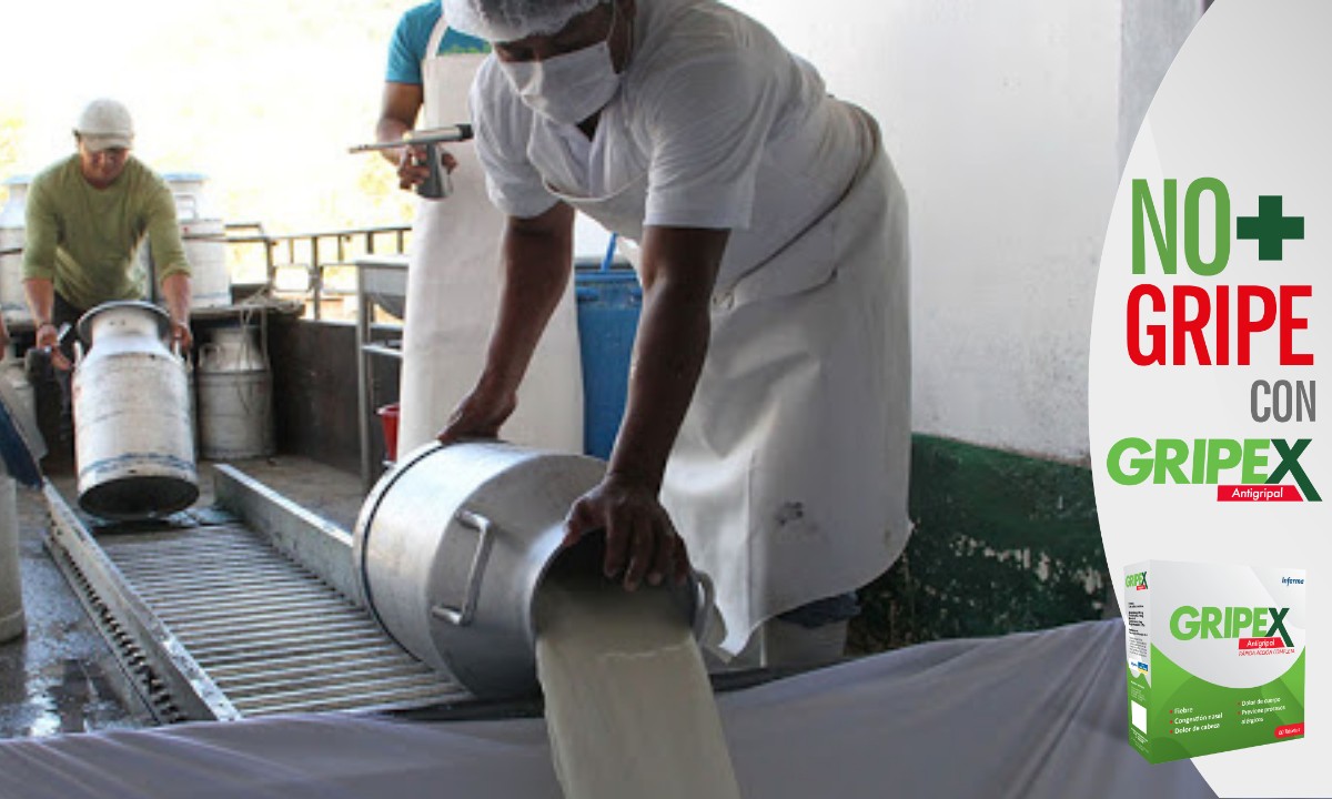 En un 70% se han restablecido las exportaciones de leche y carne, según viceministro de la SAG