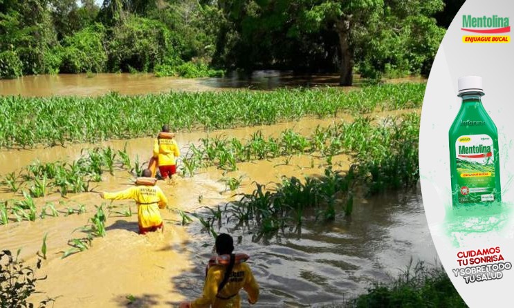 Alrededor del 50% de la producción agrícola del país se perdió a causa de las fuertes lluvias, lamentan campesinos