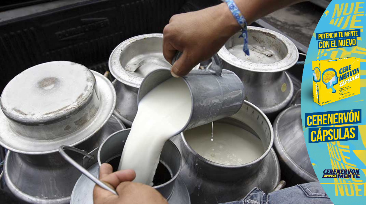 FENAGH proyecta incremento de 800 mil litros de leche diarios con inicio del invierno