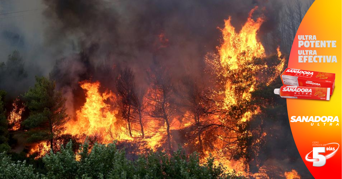 Honduras reporta 37 incendios que afectaron 490,6 hectáreas en enero